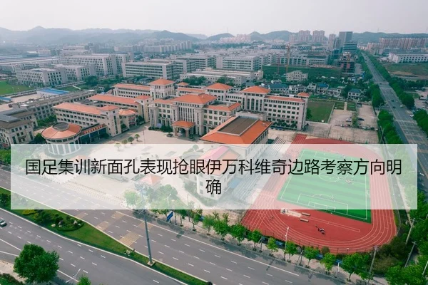 国足集训新面孔表现抢眼伊万科维奇边路考察方向明确